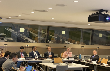 Third meeting of the Working Committee of the Fourth Session of the Conference on the Establishment of a Middle East Zone Free of Nuclear Weapons and Other Weapons of Mass Destruction